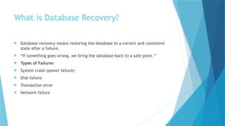 Comprehensive Overview of Database Recovery Techniques and Strategies ...