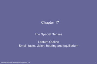 Chapter 17 The Special Senses Lecture Outline Smell, taste, vision, hearing and equilibrium 