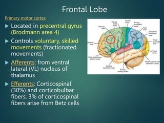 lecture 7 (1).ppt rfgbffffffffffffffffffffffffffff | PPT