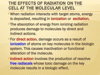 Molecular and cellular effects of ionizing radiation | PPT