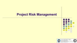 Episode 25 : Project Risk Management | PPT