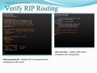 Comprehensive Overview of Distance Vector Routing and RIP Protocol | PDF