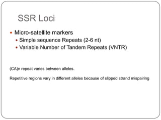 SSR Loci
 Micro-satellite markers
    Simple sequence Repeats (2-6 nt)
    Variable Number of Tandem Repeats (VNTR)



(CA)n repeat varies between alleles.

Repetitive regions vary in different alleles because of slipped strand mispairing
 