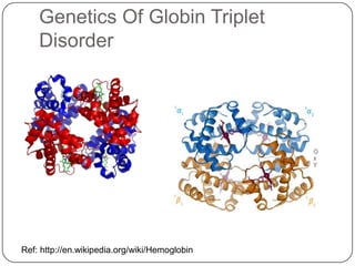 Genetics Of Globin Triplet
    Disorder




Ref: http://en.wikipedia.org/wiki/Hemoglobin
 