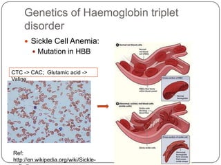 Genetics of Haemoglobin triplet
    disorder
     Sickle Cell Anemia:
         Mutation in HBB


CTC -> CAC; Glutamic acid ->
Valine




Ref:
http://en.wikipedia.org/wiki/Sickle-
 