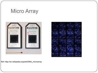 Micro Array




Ref: http://en.wikipedia.org/wiki/DNA_microarray
 