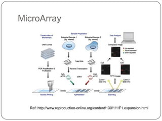 MicroArray




  Ref: http://www.reproduction-online.org/content/130/1/1/F1.expansion.html
 
