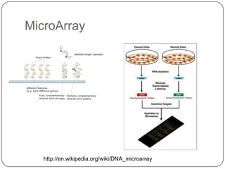MicroArray




   http://en.wikipedia.org/wiki/DNA_microarray
 