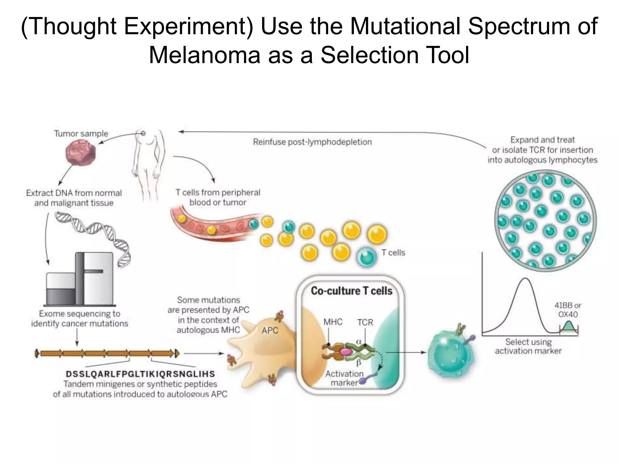 (Thought Experiment) Use the Mutational Spectrum of
Melanoma as a Selection Tool
 