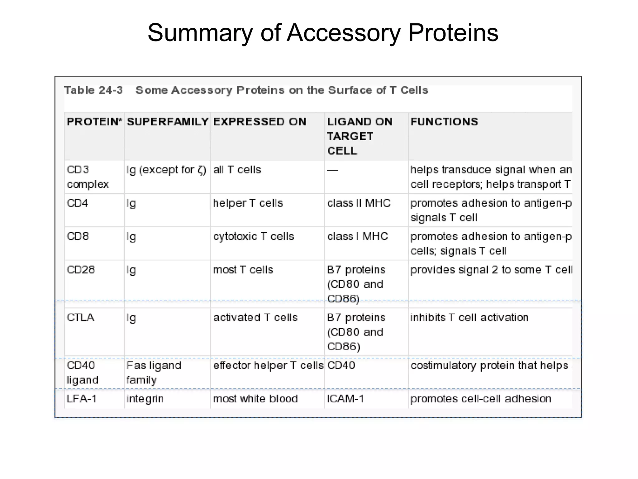 Summary of Accessory Proteins
 