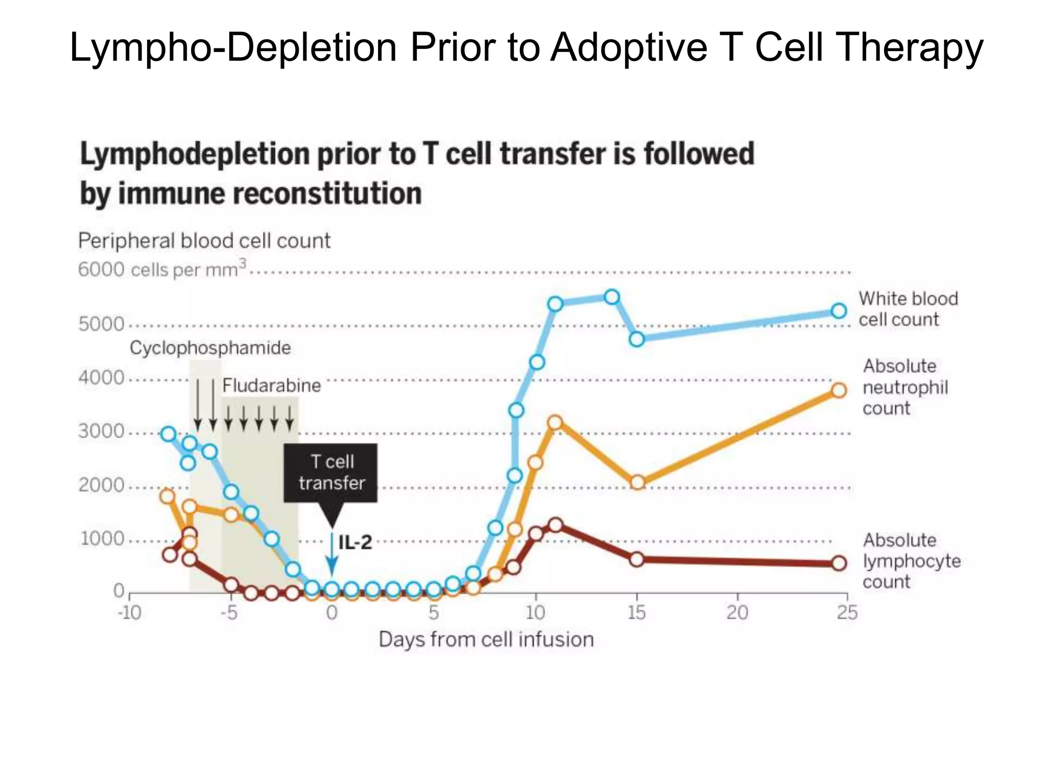 Lympho-Depletion Prior to Adoptive T Cell Therapy
 