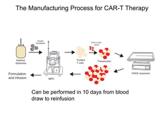 The Manufacturing Process for CAR-T Therapy
Can be performed in 10 days from blood
draw to reinfusion
 