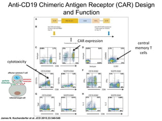 James N. Kochenderfer et al. JCO 2015;33:540-549
CAR expression
central
memory T
cells
cytotoxicity
Anti-CD19 Chimeric Antigen Receptor (CAR) Design
and Function
 