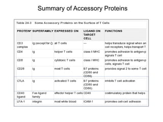 Summary of Accessory Proteins
 
