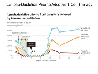 Lympho-Depletion Prior to Adoptive T Cell Therapy
 