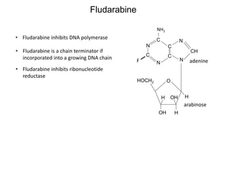 H OH
HOH
O
N
CH
N
C
C
C
N
C
N
HOCH2
H
adenine
arabinose
NH2
F
Fludarabine
• Fludarabine inhibits DNA polymerase
• Fludarabine is a chain terminator if
incorporated into a growing DNA chain
• Fludarabine inhibits ribonucleotide
reductase
 