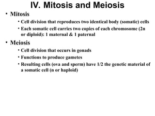 Comprehensive Overview of Animal Genetics and Mendelian Principles | PPT