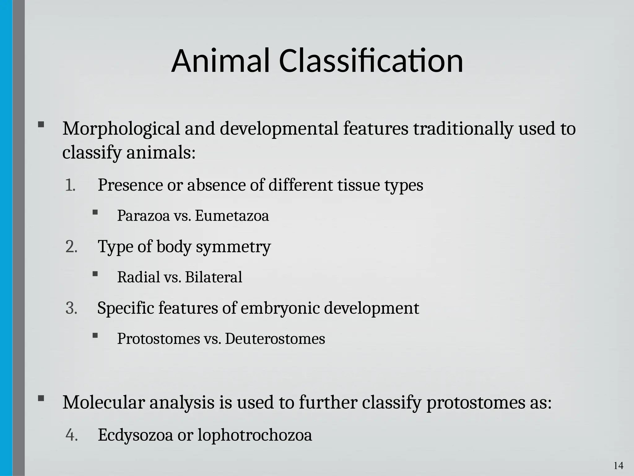 14
 Morphological and developmental features traditionally used to
classify animals:
1. Presence or absence of different tissue types
 Parazoa vs. Eumetazoa
2. Type of body symmetry
 Radial vs. Bilateral
3. Specific features of embryonic development
 Protostomes vs. Deuterostomes
 Molecular analysis is used to further classify protostomes as:
4. Ecdysozoa or lophotrochozoa
Animal Classification
 