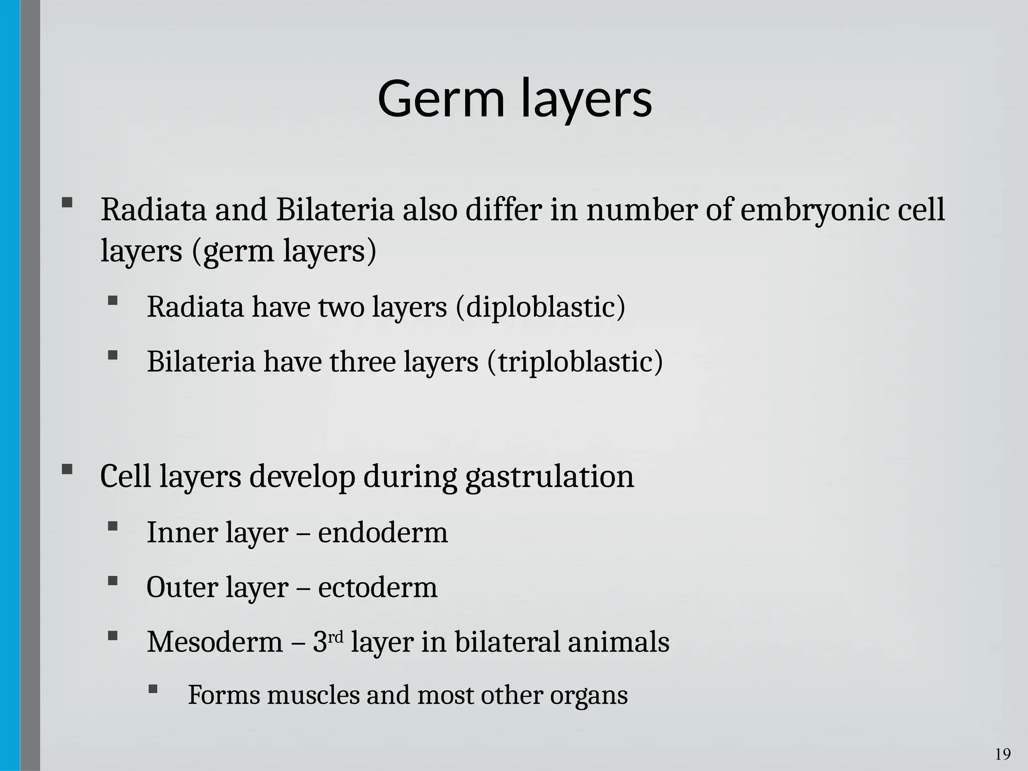 19
 Radiata and Bilateria also differ in number of embryonic cell
layers (germ layers)
 Radiata have two layers (diploblastic)
 Bilateria have three layers (triploblastic)
 Cell layers develop during gastrulation
 Inner layer – endoderm
 Outer layer – ectoderm
 Mesoderm – 3rd layer in bilateral animals
 Forms muscles and most other organs
Germ layers
 