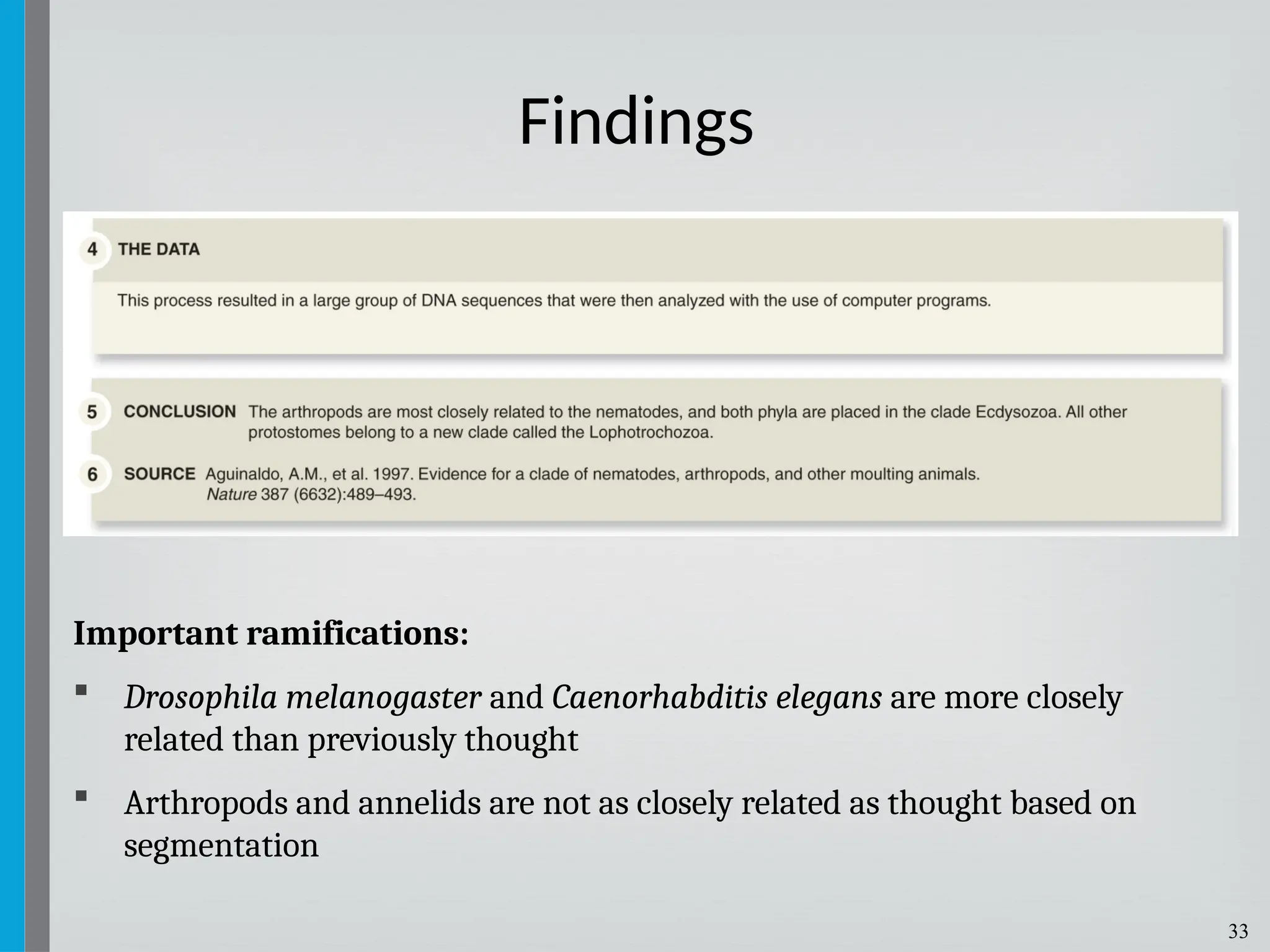 33
Important ramifications:
 Drosophila melanogaster and Caenorhabditis elegans are more closely
related than previously thought
 Arthropods and annelids are not as closely related as thought based on
segmentation
Findings
 