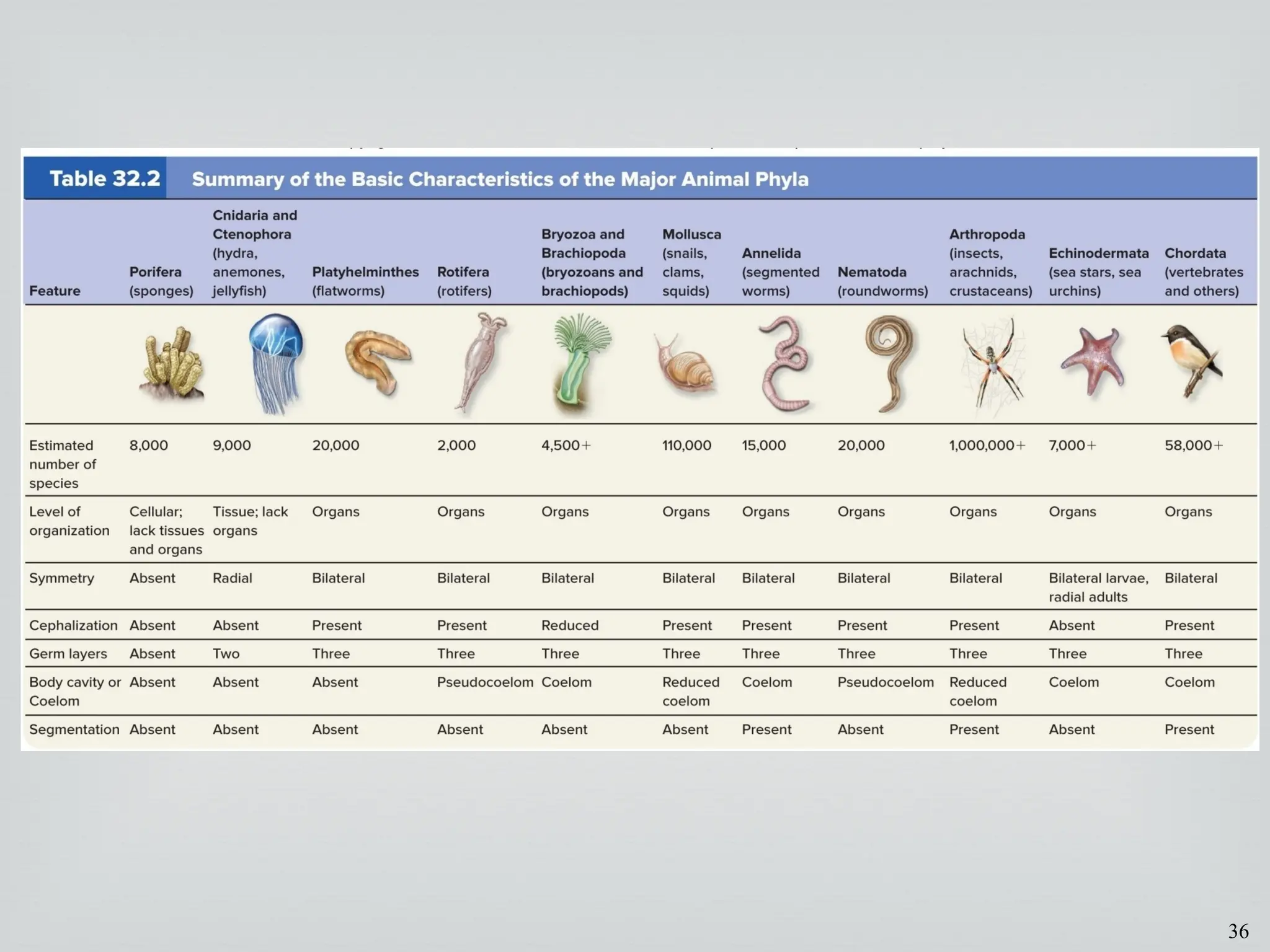 36
 Jump to long image description
 