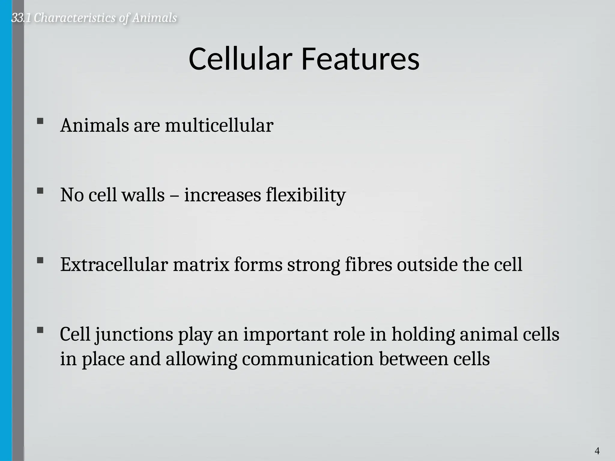 4
Cellular Features
 Animals are multicellular
 No cell walls – increases flexibility
 Extracellular matrix forms strong fibres outside the cell
 Cell junctions play an important role in holding animal cells
in place and allowing communication between cells
33.1 Characteristics of Animals
 