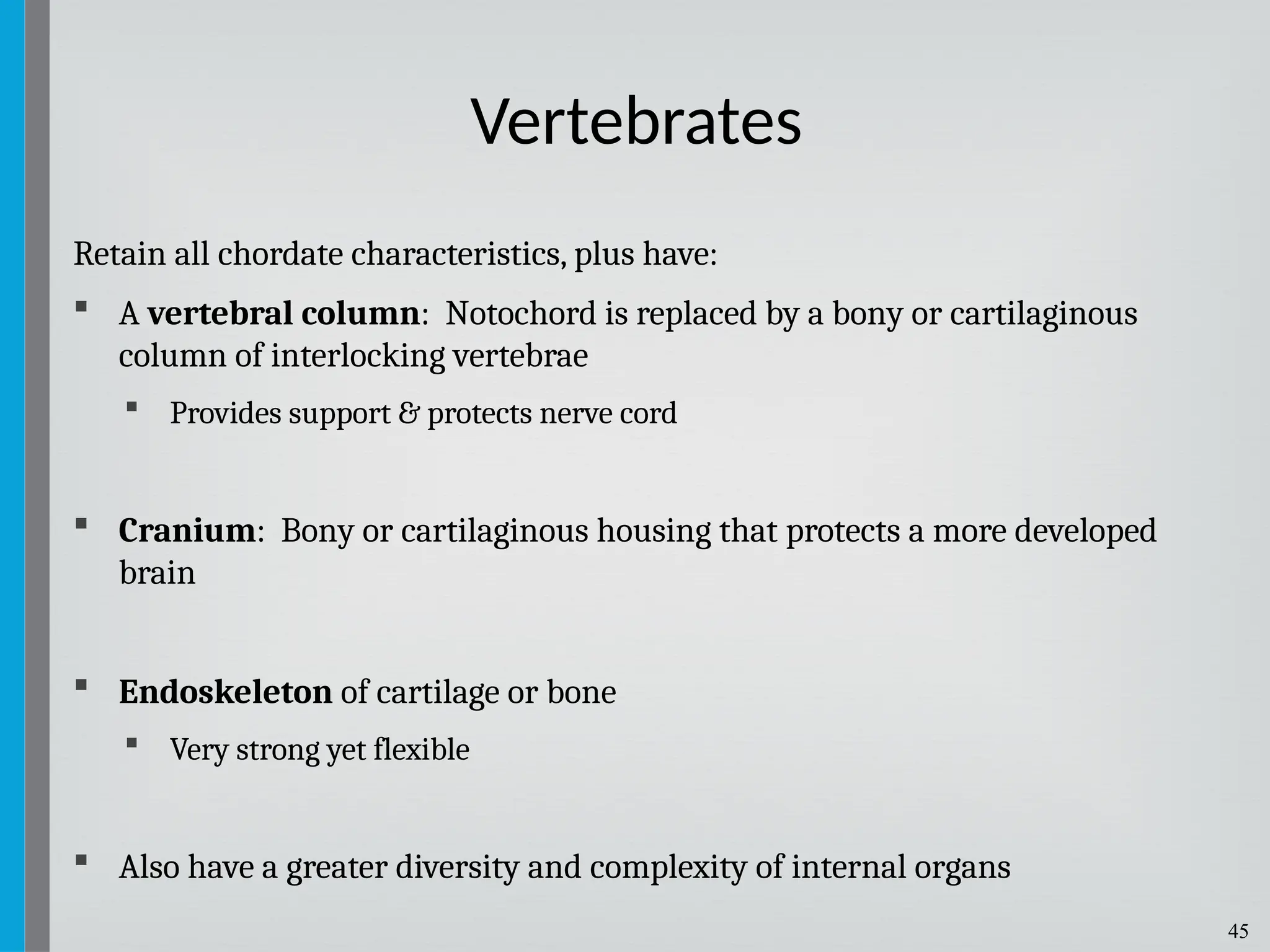 45
Retain all chordate characteristics, plus have:
 A vertebral column: Notochord is replaced by a bony or cartilaginous
column of interlocking vertebrae
 Provides support & protects nerve cord
 Cranium: Bony or cartilaginous housing that protects a more developed
brain
 Endoskeleton of cartilage or bone
 Very strong yet flexible
 Also have a greater diversity and complexity of internal organs
Vertebrates
 