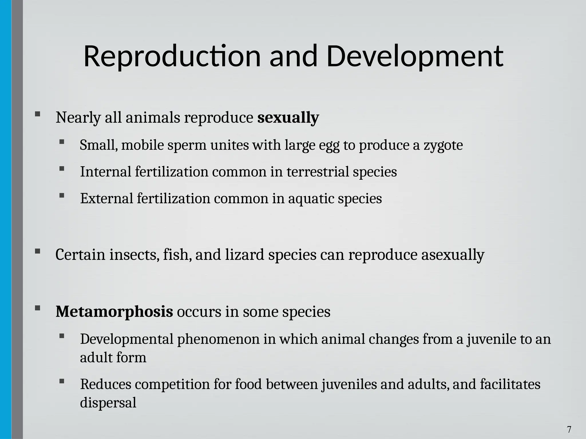 7
 Nearly all animals reproduce sexually
 Small, mobile sperm unites with large egg to produce a zygote
 Internal fertilization common in terrestrial species
 External fertilization common in aquatic species
 Certain insects, fish, and lizard species can reproduce asexually
 Metamorphosis occurs in some species
 Developmental phenomenon in which animal changes from a juvenile to an
adult form
 Reduces competition for food between juveniles and adults, and facilitates
dispersal
Reproduction and Development
 