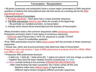 Transcription - Recapitulation
• All genes (eukaryotic and prokaryotic) have a unique region (promoters) of DNA sequence
upstream of (before) the transcriptional start site that serves as a binding site for the RNA
polymerase enzyme
• General functions of promoters:
  1. Provides specificity – Each gene has a unique promoter sequence
  2. Tell RNA polymerase where to start (they are usually at the beginning)
      - No promoter (or mutated promoter), no transcription
  3. Indicate which strand will be transcribed and the direction of transcription

•Most promoters share a few common sequences called consensus sequences
Prokaryotic promoters share 2 main types of consensus sequences
  - TATA box (aka Pribnow box) (-10-15), sequence is usually TATAAT
  - TTGACA – found 35 nucleotides upstream
•Prok. RNA polymerase enzyme makes direct contact with the promoter at these consensus
sequences
• Unique seq. within and around promoters help determine rates of transcription
Prokaryotic cells only produce 1 type of RNA polymerase to produce all of the mRNA, tRNA,
and rRNA in the cell.
• Prokaryotic RNA polymerase structure:
    - 2 alpha (α), 1 beta (β), 1 beta prime (β'), 1 sigma (σ) subunit, and one omega (ω) subunit.
    - Together they have the basic catalytic function of producing new RNA
  - σ factor controls binding to the promoter (PROMOTER RECOGNITION)
      - After initial binding has been successful, the σ factor comes off the core
            - Bacteria make many different types of sigma factors
            - Different sigma factors recognize different promoter sequences.
 