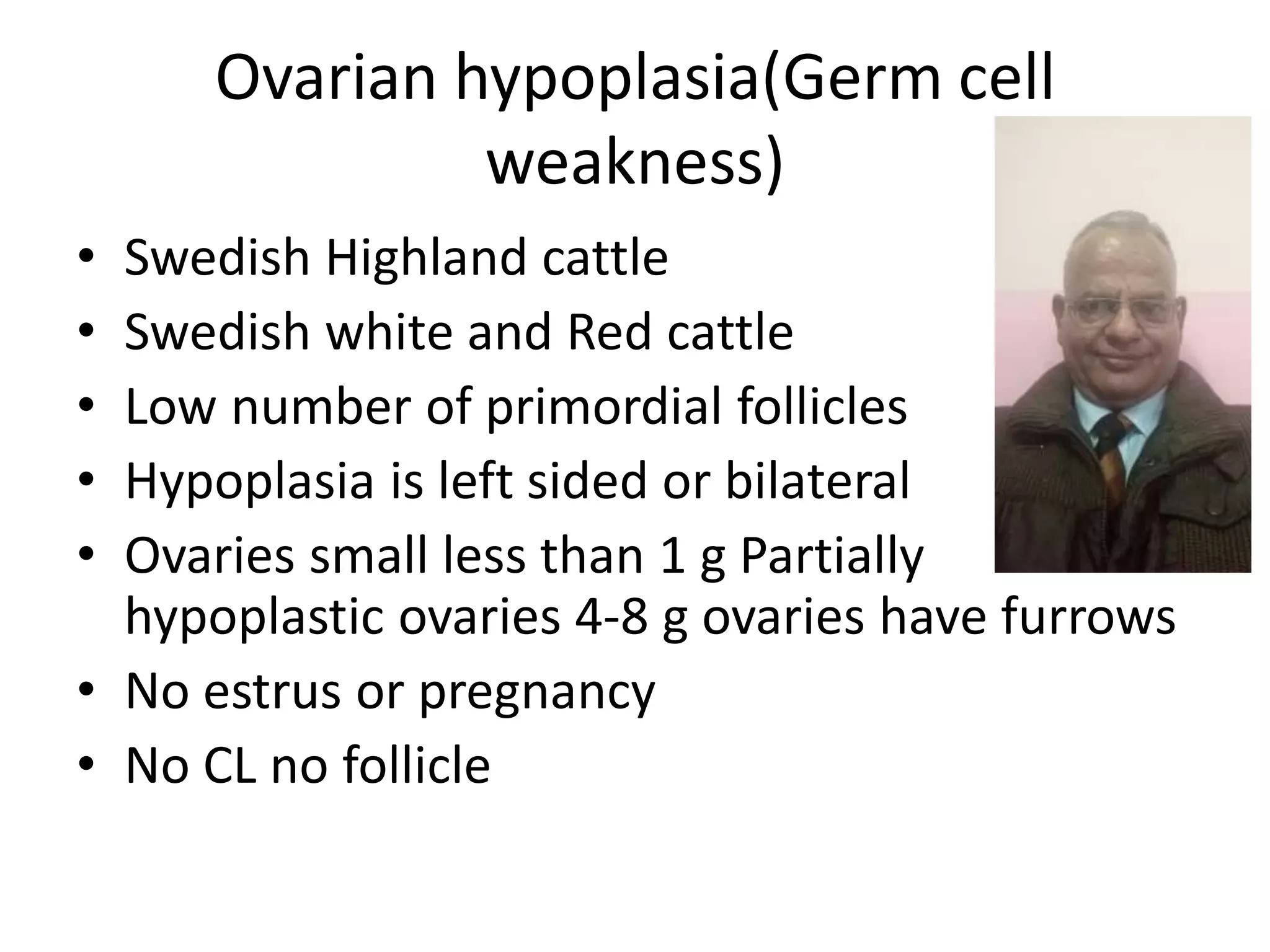 Ovarian hypoplasia(Germ cell
weakness)
• Swedish Highland cattle
• Swedish white and Red cattle
• Low number of primordial follicles
• Hypoplasia is left sided or bilateral
• Ovaries small less than 1 g Partially
hypoplastic ovaries 4-8 g ovaries have furrows
• No estrus or pregnancy
• No CL no follicle
 