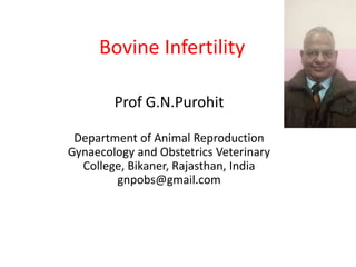 Bovine Infertility
Prof G.N.Purohit
Department of Animal Reproduction
Gynaecology and Obstetrics Veterinary
College, Bikaner, Rajasthan, India
gnpobs@gmail.com
 