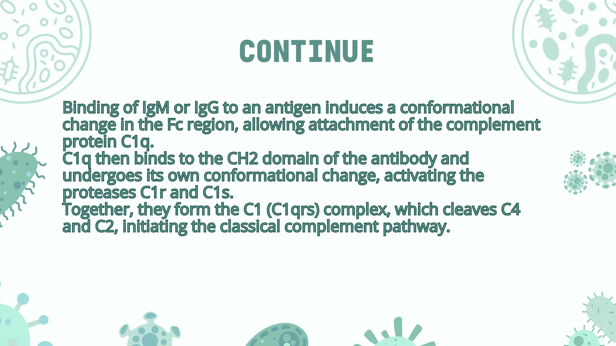 C0NTINUE
Binding of IgM or IgG to an antigen induces a conformational
change in the Fc region, allowing attachment of the complement
protein C1q.
C1q then binds to the CH2 domain of the antibody and
undergoes its own conformational change, activating the
proteases C1r and C1s.
Together, they form the C1 (C1qrs) complex, which cleaves C4
and C2, initiating the classical complement pathway.
Binding of IgM or IgG to an antigen induces a conformational
change in the Fc region, allowing attachment of the complement
protein C1q.
C1q then binds to the CH2 domain of the antibody and
undergoes its own conformational change, activating the
proteases C1r and C1s.
Together, they form the C1 (C1qrs) complex, which cleaves C4
and C2, initiating the classical complement pathway.
 