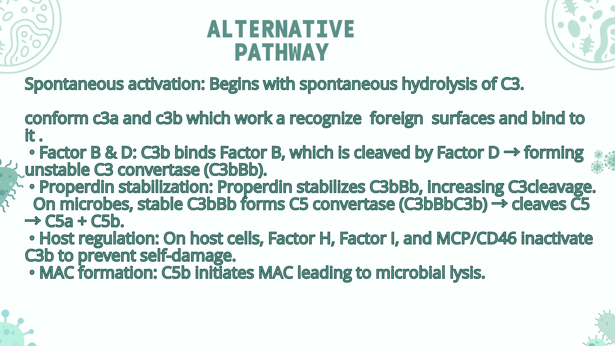 ALTERNATIVE
PATHWAY
Spontaneous activation: Begins with spontaneous hydrolysis of C3.
conform c3a and c3b which work a recognize foreign surfaces and bind to
it .
• Factor B & D: C3b binds Factor B, which is cleaved by Factor D →forming
unstable C3 convertase (C3bBb).
• Properdin stabilization: Properdin stabilizes C3bBb, increasing C3cleavage.
On microbes, stable C3bBb forms C5 convertase (C3bBbC3b) →cleaves C5
→C5a + C5b.
• Host regulation: On host cells, Factor H, Factor I, and MCP/CD46 inactivate
C3b to prevent self-damage.
• MAC formation: C5b initiates MAC leading to microbial lysis.
Spontaneous activation: Begins with spontaneous hydrolysis of C3.
conform c3a and c3b which work a recognize foreign surfaces and bind to
it .
• Factor B & D: C3b binds Factor B, which is cleaved by Factor D →forming
unstable C3 convertase (C3bBb).
• Properdin stabilization: Properdin stabilizes C3bBb, increasing C3cleavage.
On microbes, stable C3bBb forms C5 convertase (C3bBbC3b) →cleaves C5
→C5a + C5b.
• Host regulation: On host cells, Factor H, Factor I, and MCP/CD46 inactivate
C3b to prevent self-damage.
• MAC formation: C5b initiates MAC leading to microbial lysis.
 