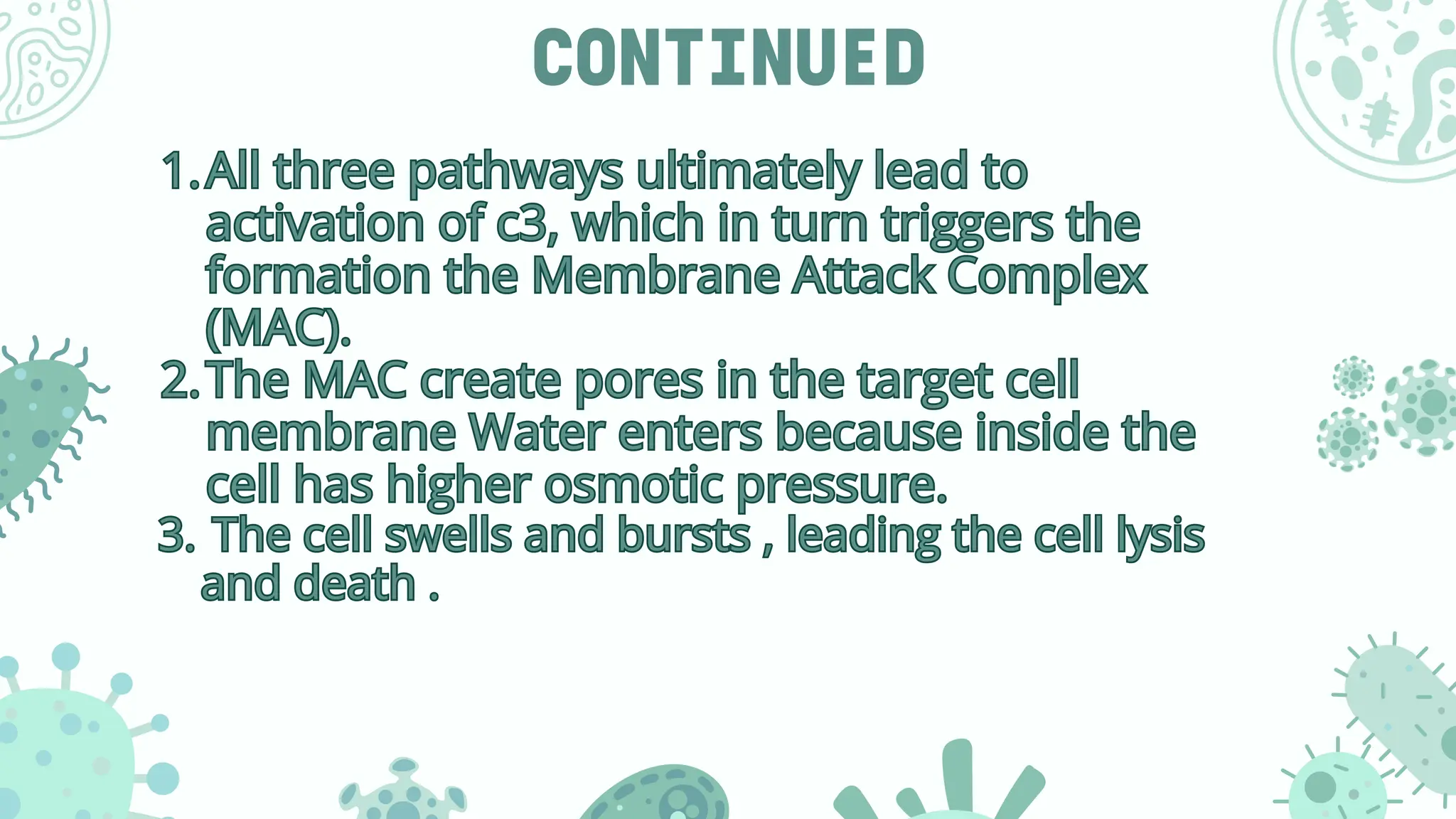 CONTINUED
1.All three pathways ultimately lead to
activation of c3, which in turn triggers the
formation the Membrane Attack Complex
(MAC).
2.The MAC create pores in the target cell
membrane Water enters because inside the
cell has higher osmotic pressure.
3. The cell swells and bursts , leading the cell lysis
and death .
1.All three pathways ultimately lead to
activation of c3, which in turn triggers the
formation the Membrane Attack Complex
(MAC).
2.The MAC create pores in the target cell
membrane Water enters because inside the
cell has higher osmotic pressure.
3. The cell swells and bursts , leading the cell lysis
and death .
 