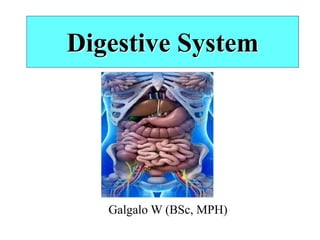 Digestive System
Galgalo W (BSc, MPH)
 