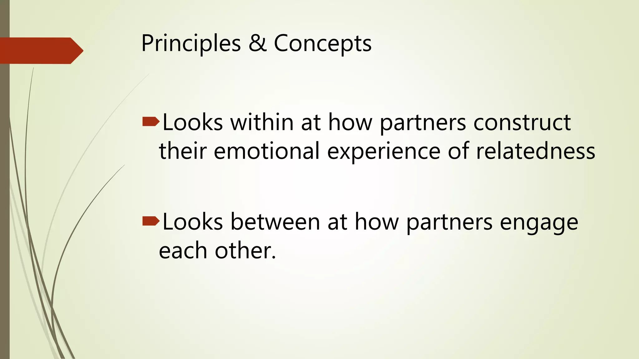 Principles & Concepts
Looks within at how partners construct
their emotional experience of relatedness
Looks between at how partners engage
each other.
 