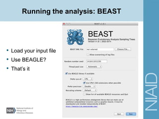 Running the analysis: BEAST
• Load your input file
• Use BEAGLE?
• That’s it
 