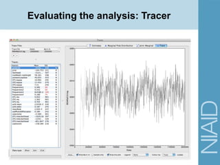 Evaluating the analysis: Tracer
 