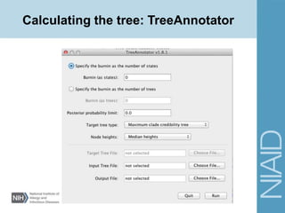 Calculating the tree: TreeAnnotator
 