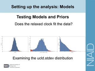 Setting up the analysis: Models
Testing Models and Priors
Does the relaxed clock fit the data?
ucld.stdev
Frequency
0.5 1 1.5 2 2.5
0
50
100
150
200
250
300
350
400
2014_GN.SL_SRDpart1.ucld.stdev
Frequency
0 0.5 1 1.5 2 2.5 3
0
50
100
150
200
250
300
350
ucld.stdev
Frequency
0 0.5 1 1.5 2 2.5 3
0
500
1000
1500
2000
2500
Examining the ucld.stdev distribution
 