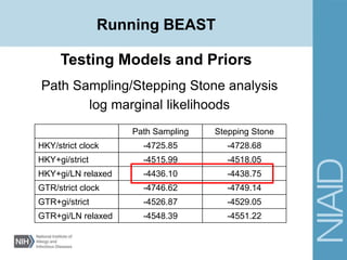 Testing Models and Priors
Path Sampling/Stepping Stone analysis
log marginal likelihoods
Path Sampling Stepping Stone
HKY/strict clock -4725.85 -4728.68
HKY+gi/strict -4515.99 -4518.05
HKY+gi/LN relaxed -4436.10 -4438.75
GTR/strict clock -4746.62 -4749.14
GTR+gi/strict -4526.87 -4529.05
GTR+gi/LN relaxed -4548.39 -4551.22
Running BEAST
 