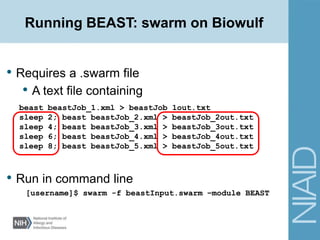 Running BEAST: swarm on Biowulf
• Requires a .swarm file
• A text file containing
• Run in command line
beast beastJob_1.xml > beastJob_1out.txt
sleep 2; beast beastJob_2.xml > beastJob_2out.txt
sleep 4; beast beastJob_3.xml > beastJob_3out.txt
sleep 6; beast beastJob_4.xml > beastJob_4out.txt
sleep 8; beast beastJob_5.xml > beastJob_5out.txt
[username]$ swarm -f beastInput.swarm –module BEAST
 
