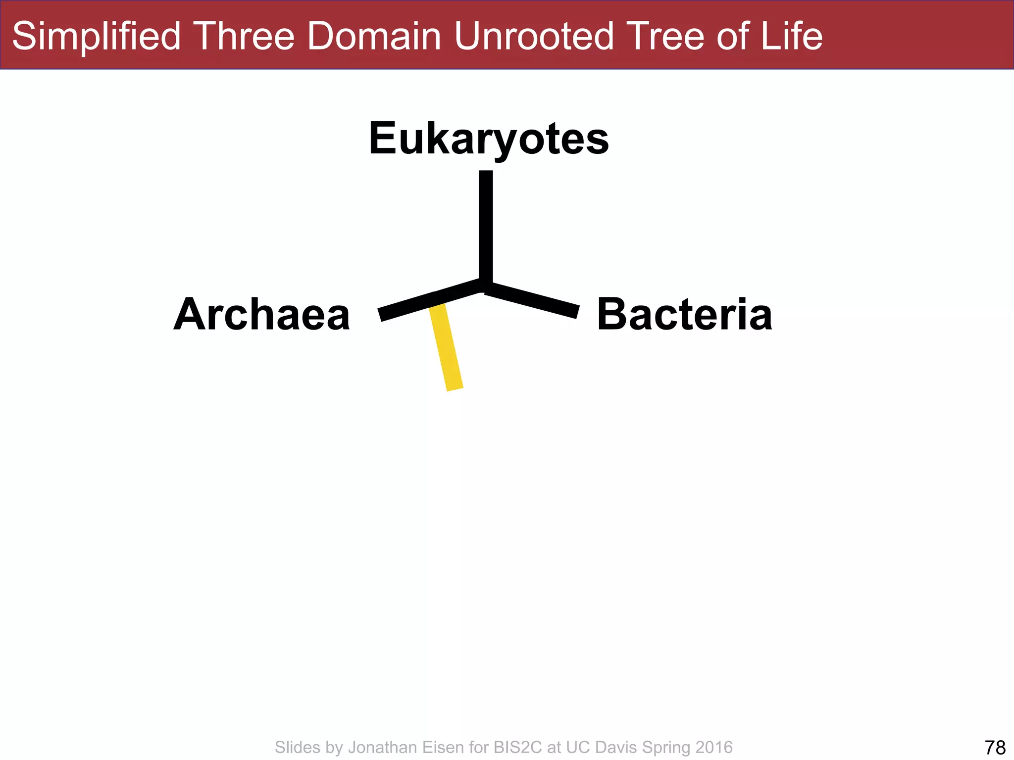 Slides by Jonathan Eisen for BIS2C at UC Davis Spring 2016
Simplified Three Domain Unrooted Tree of Life
78
Eukaryotes
BacteriaArchaea
 
