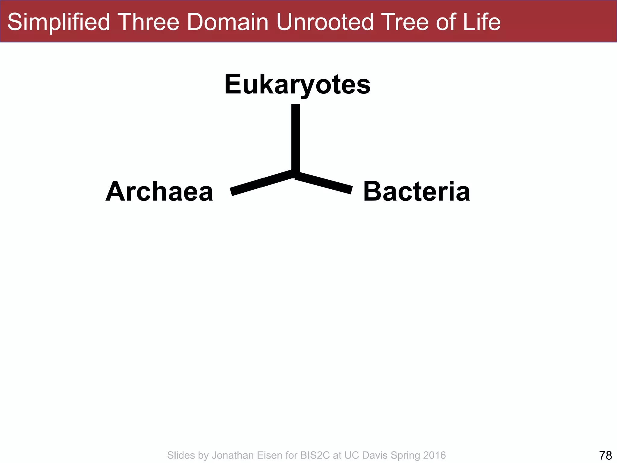 Slides by Jonathan Eisen for BIS2C at UC Davis Spring 2016
Simplified Three Domain Unrooted Tree of Life
78
Eukaryotes
BacteriaArchaea
 