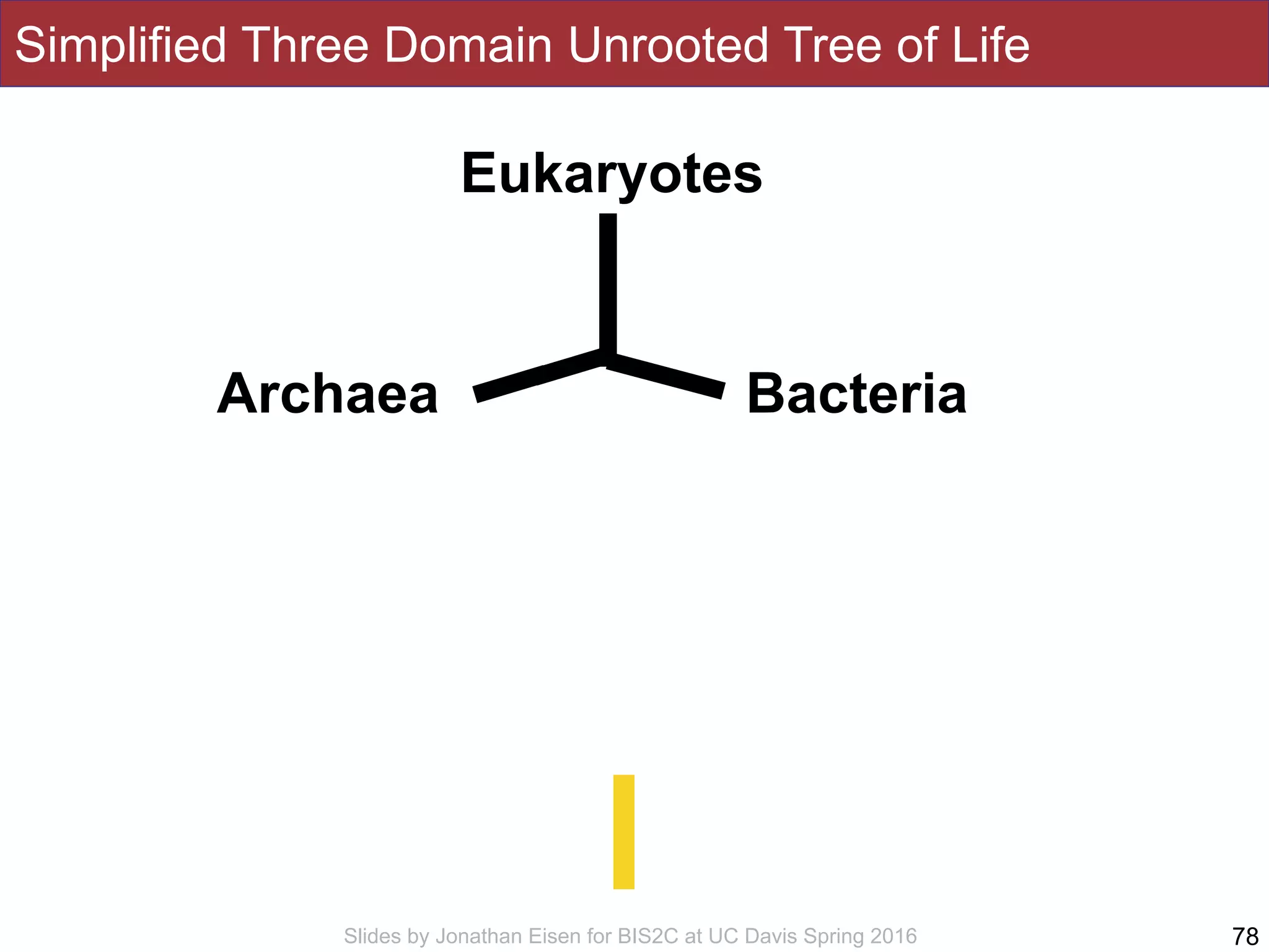 Slides by Jonathan Eisen for BIS2C at UC Davis Spring 2016
Simplified Three Domain Unrooted Tree of Life
78
Eukaryotes
BacteriaArchaea
 
