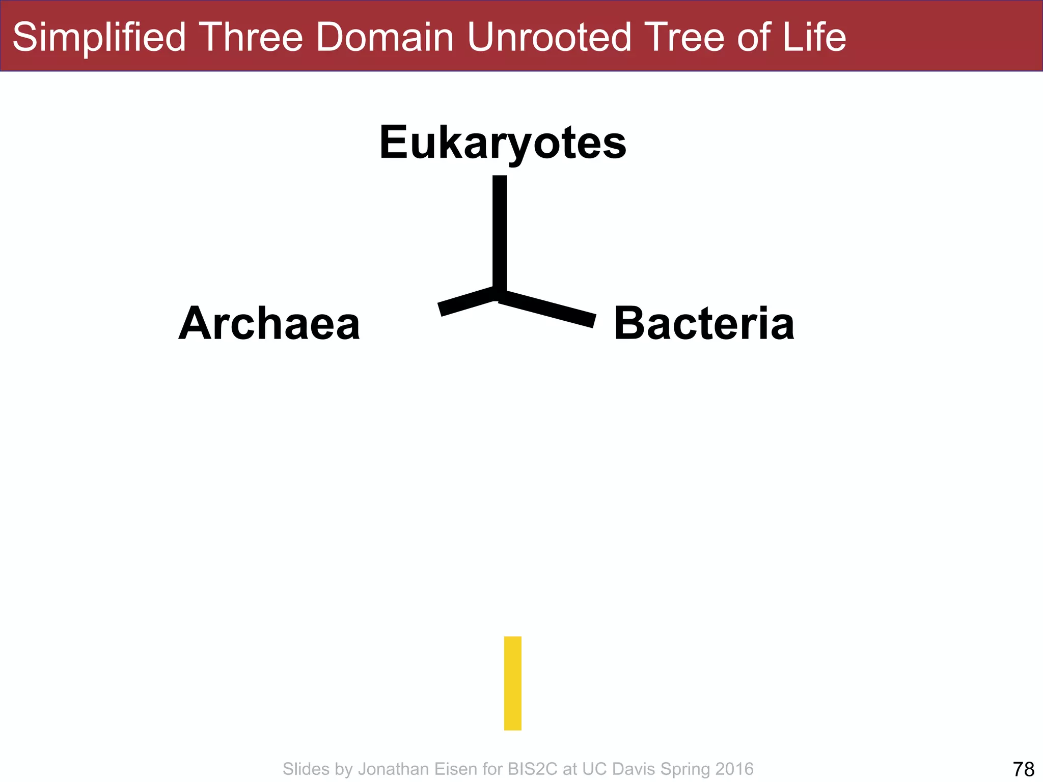 Slides by Jonathan Eisen for BIS2C at UC Davis Spring 2016
Simplified Three Domain Unrooted Tree of Life
78
Eukaryotes
BacteriaArchaea
 