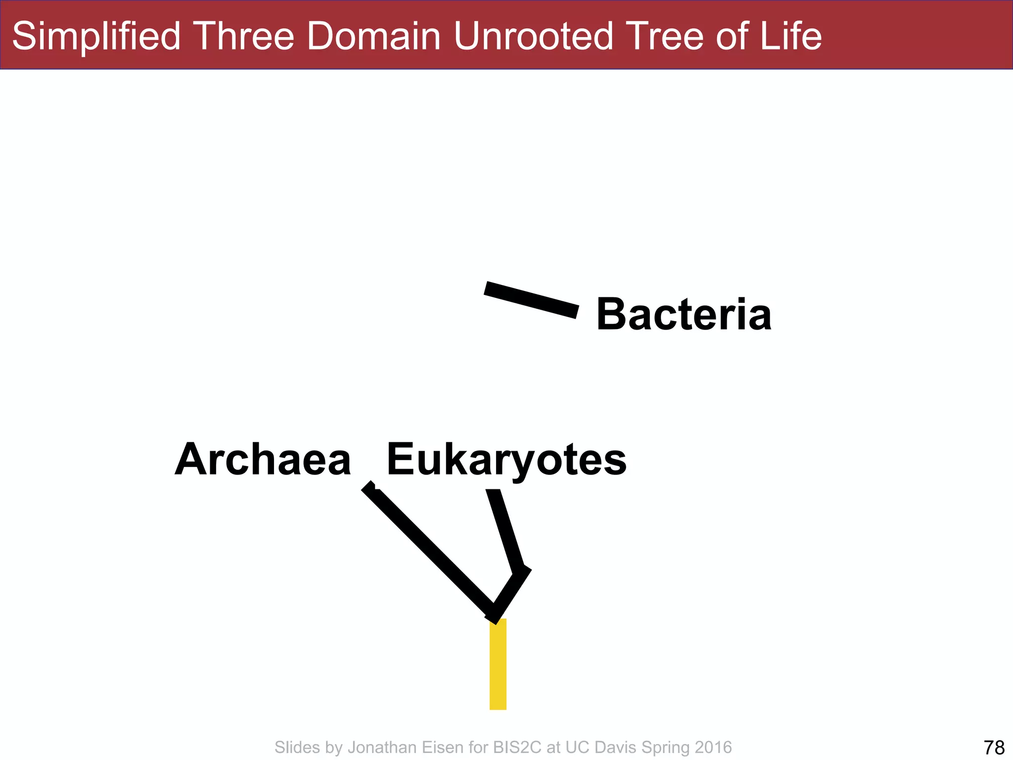 Slides by Jonathan Eisen for BIS2C at UC Davis Spring 2016
Simplified Three Domain Unrooted Tree of Life
78
Bacteria
Archaea Eukaryotes
 