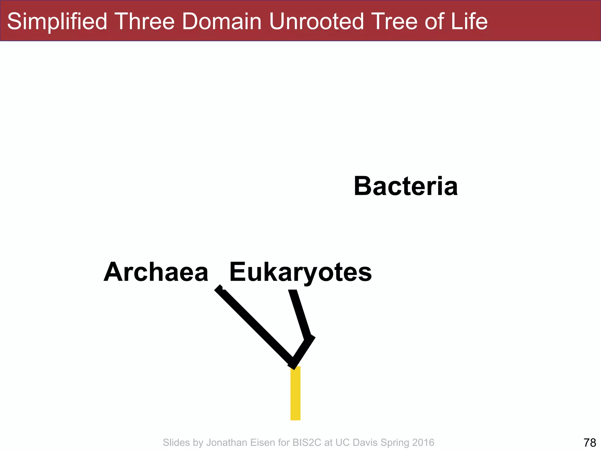 Slides by Jonathan Eisen for BIS2C at UC Davis Spring 2016
Simplified Three Domain Unrooted Tree of Life
78
Bacteria
Archaea Eukaryotes
 
