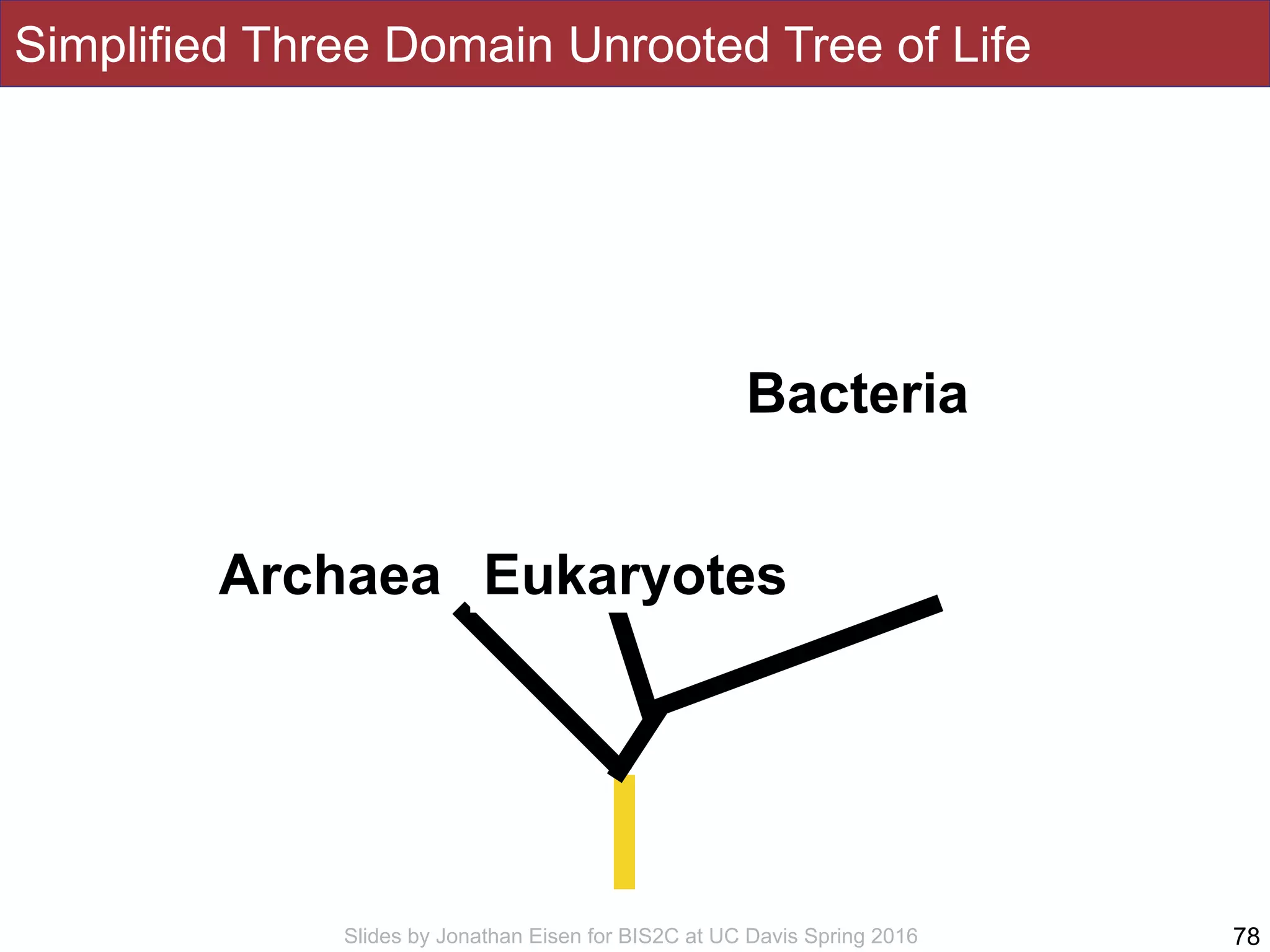 Slides by Jonathan Eisen for BIS2C at UC Davis Spring 2016
Simplified Three Domain Unrooted Tree of Life
78
Bacteria
Archaea Eukaryotes
 