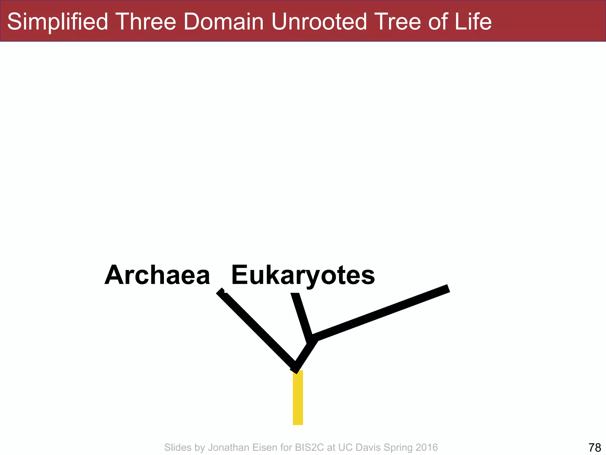 Slides by Jonathan Eisen for BIS2C at UC Davis Spring 2016
Simplified Three Domain Unrooted Tree of Life
78
Archaea Eukaryotes
 